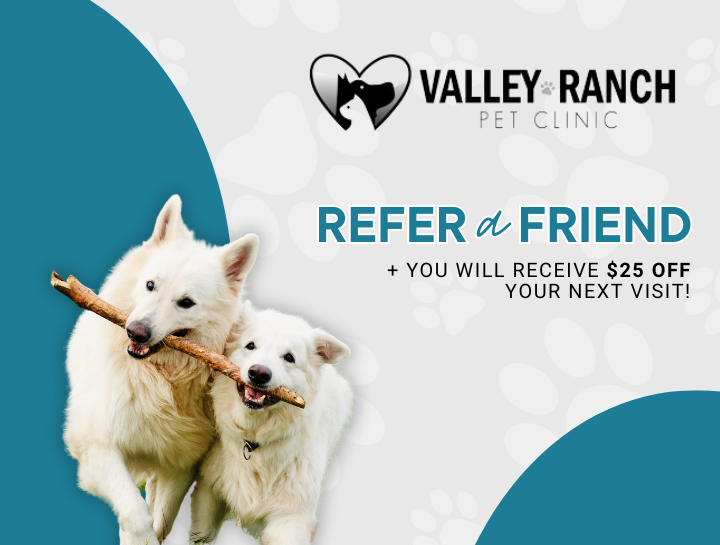 Refer a Friend