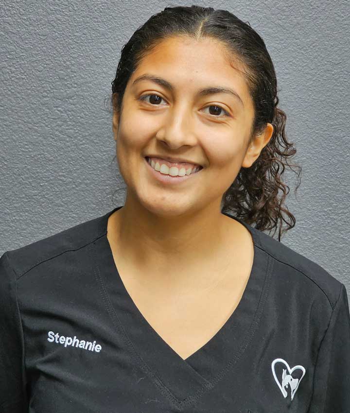Portrait of Stephanie Rodriguez